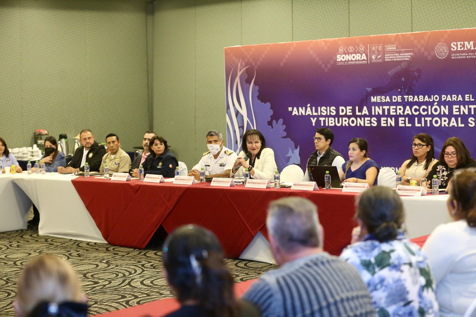 Realiza Sagarhpa mesa de trabajo sobre interacción entre pescadores y tiburones